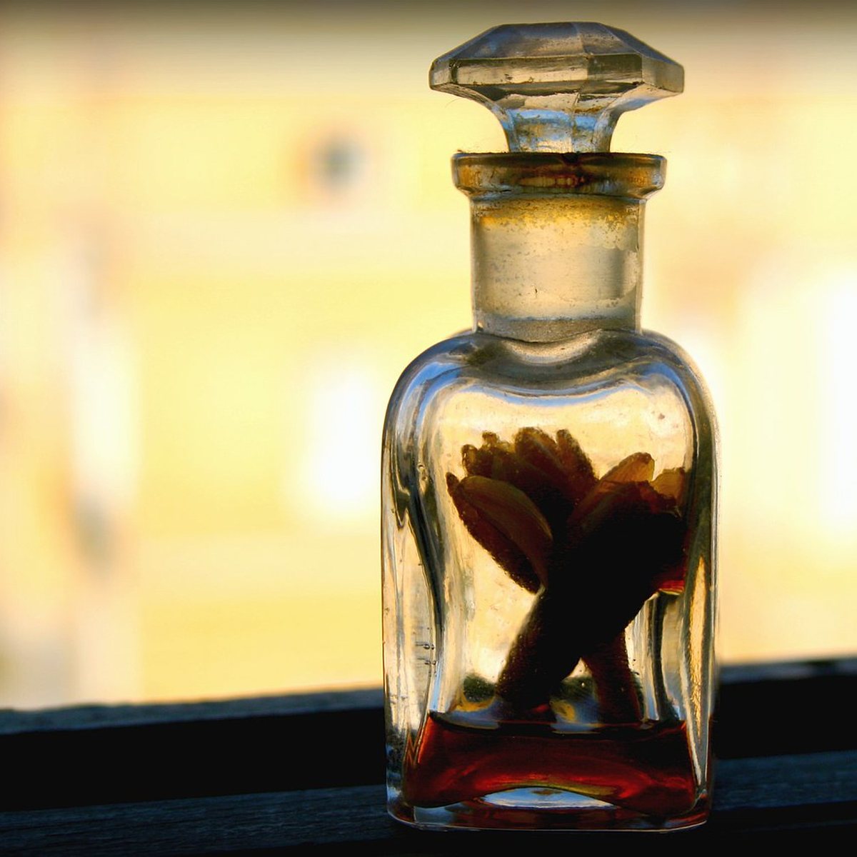Flacon de Marée Basse 6, parfum chypré, photographié sur fond neutre